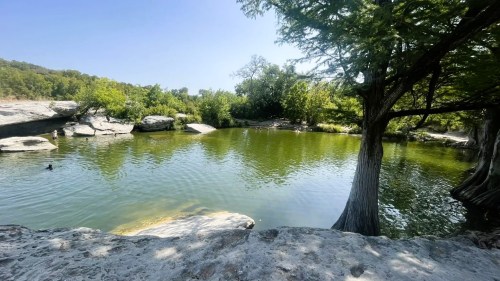 A serene natural pond surrounded by trees and rocks, with people swimming in the distance under a clear blue sky.