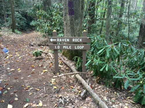 Trail sign indicating "Raven Rock" and a "1.0 Mile Loop" in a wooded area with fallen leaves.