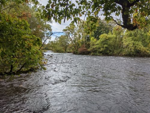 A serene river flows through a lush, green landscape, framed by trees and a cloudy sky.