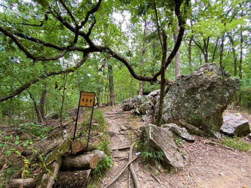 A forest trail with a sign indicating directions, surrounded by trees and large rocks.