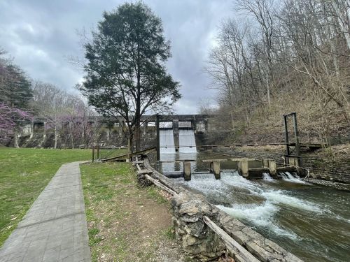 A serene view of a dam with flowing water, surrounded by trees and a grassy area under a cloudy sky.