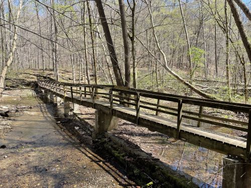 A wooden bridge spans a shallow creek, surrounded by bare trees and early spring foliage.