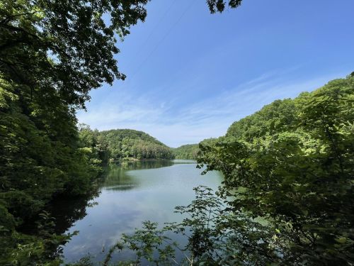 A serene lake surrounded by lush green trees under a clear blue sky.