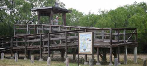 A wooden observation deck surrounded by greenery, with a person standing on it and a signboard nearby.