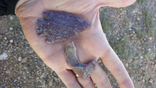 A hand holding two stone artifacts, one a pointed arrowhead and the other a curved piece, on a gravel surface.