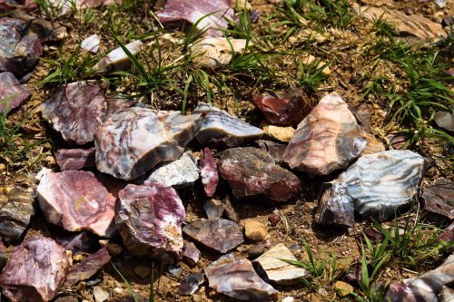 A variety of colorful, polished stones scattered on the ground among patches of green grass.