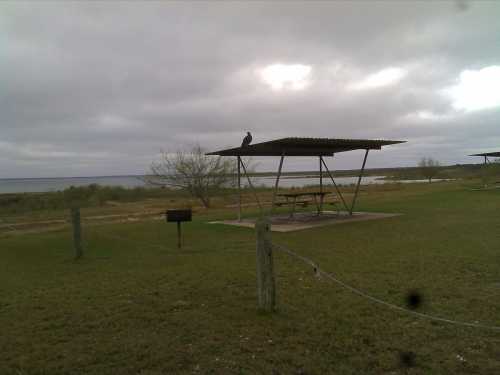 A picnic shelter by a lake, with a bird perched on the roof under a cloudy sky. Green grass surrounds the area.