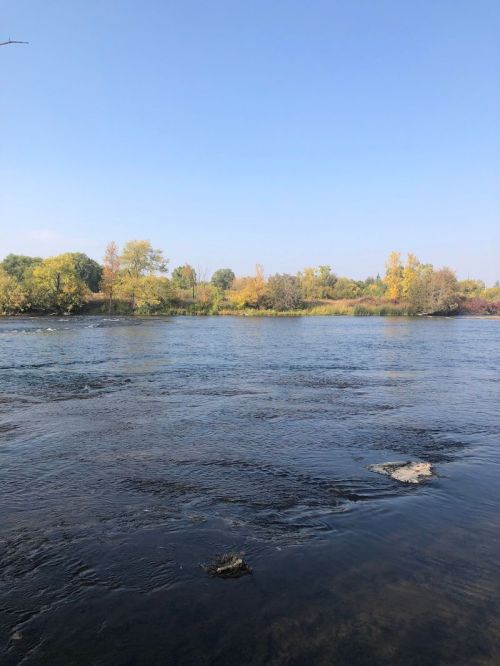 A serene river scene with trees in autumn colors under a clear blue sky.