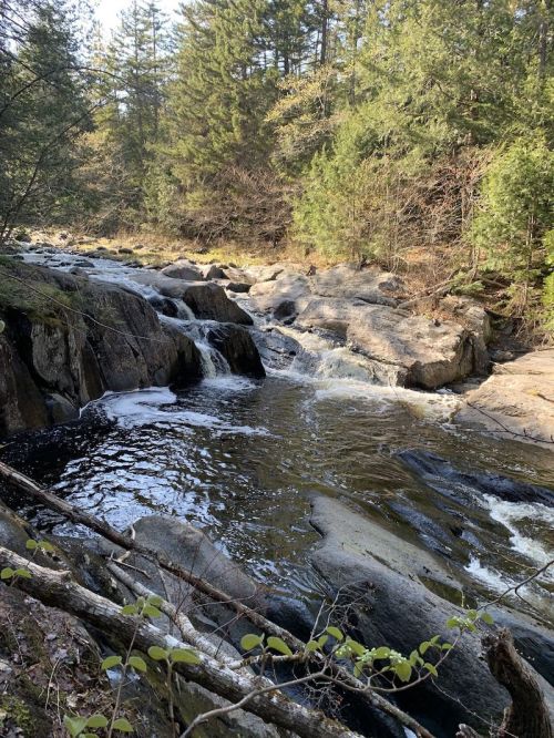 A serene river flows over rocky terrain, surrounded by lush green trees and a peaceful natural landscape.