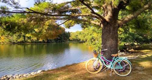 Two colorful bicycles lean against a large tree by a serene lake, surrounded by autumn foliage.