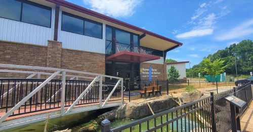 A modern building with large windows, a stone facade, and a small pond in front, under a clear blue sky.