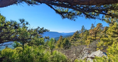 A scenic view of mountains and trees framed by branches under a clear blue sky.