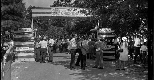 A bustling fair entrance with a "Mt. Nebo Chicken" sign, surrounded by people in vintage clothing and trees.