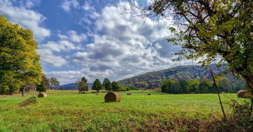 A scenic landscape featuring green fields, hay bales, trees, and a mountain under a partly cloudy sky.