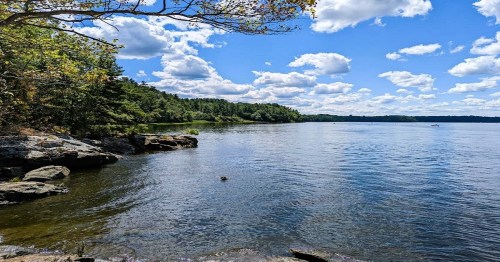 A serene lake scene with clear water, rocky shore, and lush green trees under a blue sky with fluffy clouds.
