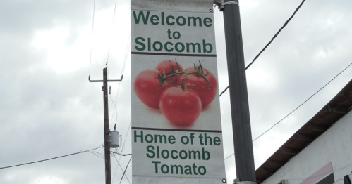 Sign welcoming visitors to Slocomb, featuring tomatoes and stating it's the home of the Slocomb Tomato.
