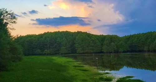 A serene landscape featuring a calm lake surrounded by lush green trees and a colorful sunset sky.