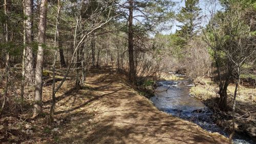 A serene forest path alongside a gently flowing stream, surrounded by trees and dappled sunlight.