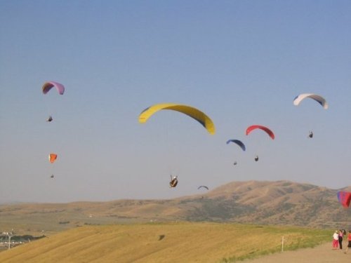 A group of colorful paragliders soaring over a hilly landscape under a clear blue sky.
