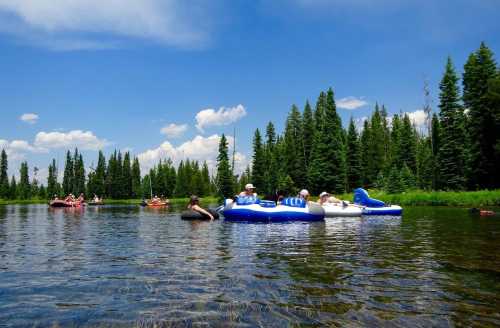 People floating on inflatable rafts in a serene river surrounded by lush green trees and a clear blue sky.