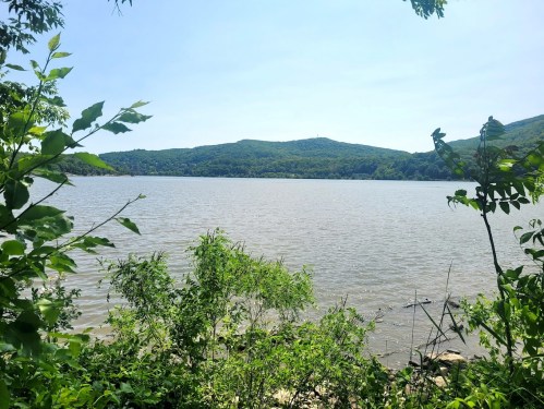 A serene view of a lake surrounded by lush greenery and distant mountains under a clear blue sky.