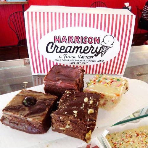 A display of fudge squares in various flavors at Harrison Creamery & Fudge Factory, with a striped box in the background.