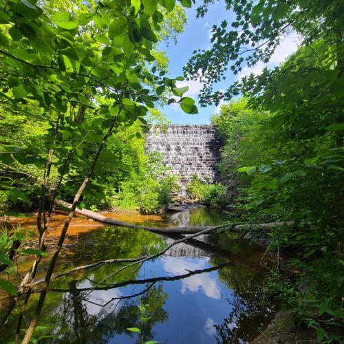 A serene view of a waterfall surrounded by lush greenery, reflecting in a calm pool of water below.