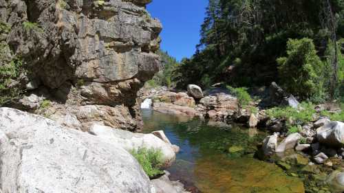 A serene river flows through rocky terrain, surrounded by lush greenery and tall trees under a clear blue sky.