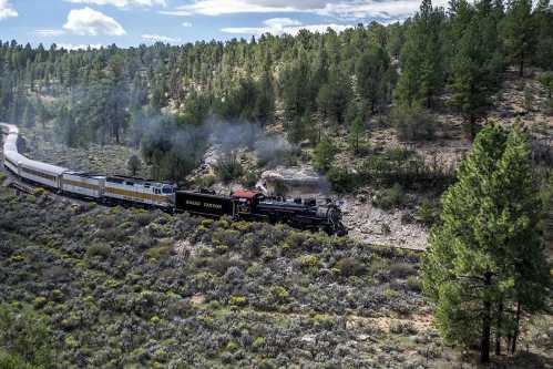 A steam train travels through a lush, green landscape with trees and shrubs under a partly cloudy sky.