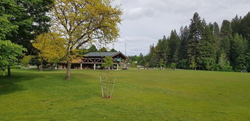 A spacious green park with a large tree, a building in the background, and a disc golf basket on the lawn.