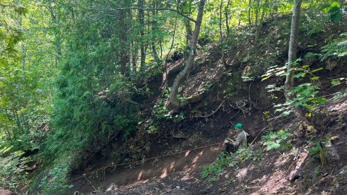 A person sits on a hillside in a forest, working on a trail surrounded by lush greenery and trees.