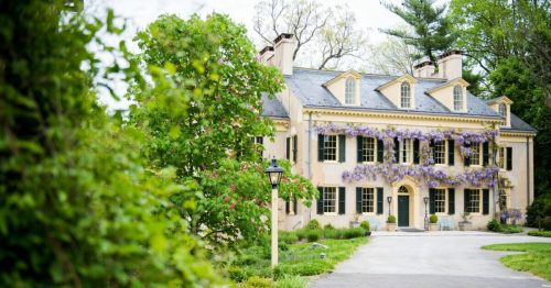 A charming yellow house with purple wisteria on the facade, surrounded by lush greenery and a winding driveway.