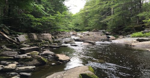 A serene river flows through a rocky landscape, surrounded by lush green trees and gentle hills.