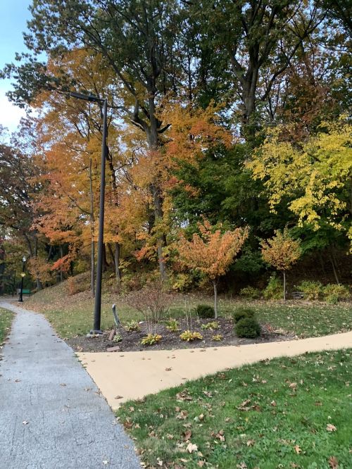 A scenic path lined with trees displaying vibrant autumn foliage in shades of orange and yellow.
