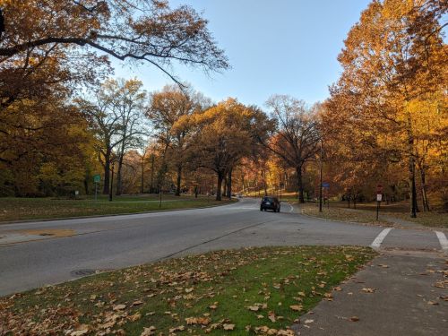 A scenic road lined with trees in autumn, featuring vibrant orange and yellow leaves, with a car driving by.
