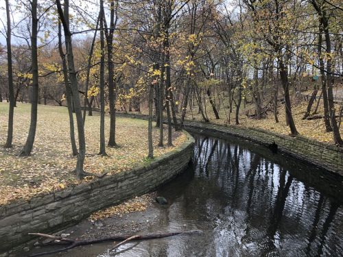 A serene park scene featuring a winding creek surrounded by trees with autumn leaves and a grassy area.
