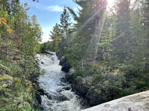 A serene waterfall cascades through a forest, surrounded by trees and sunlight filtering through the leaves.