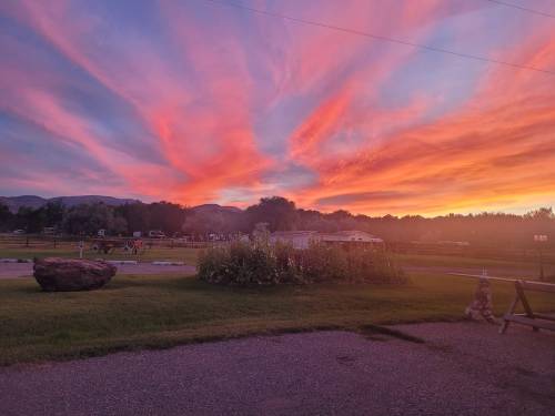 A vibrant sunset paints the sky in shades of pink and orange over a grassy landscape with distant hills.