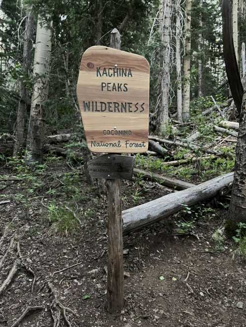 Wooden sign marking the Kachina Peaks Wilderness in Coconino National Forest, surrounded by trees and greenery.