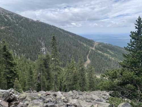 A scenic view of a mountainous landscape with dense pine trees and a winding trail under a cloudy sky.