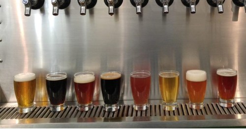 A row of seven glasses filled with different types of beer, displayed in front of a stainless steel tap wall.