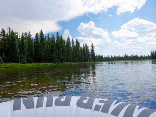 A serene lake surrounded by tall pine trees under a blue sky with fluffy clouds, viewed from a boat.