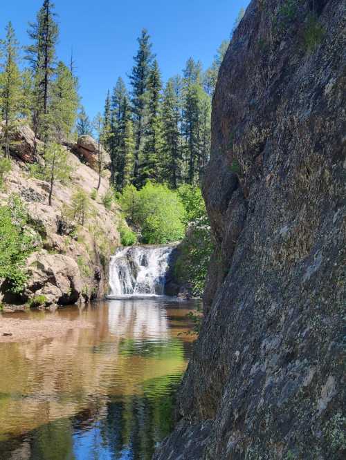 A serene waterfall cascades into a clear pool, surrounded by lush greenery and tall pine trees under a blue sky.