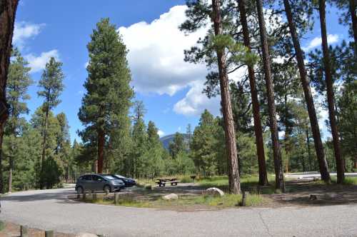 A scenic view of a forested area with tall trees, a parked car, and a picnic table under a blue sky with clouds.