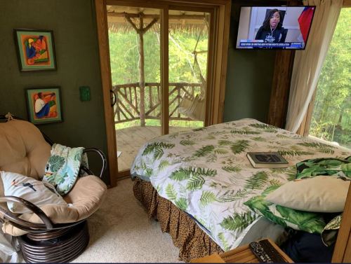 Cozy bedroom with a bed, armchair, and a TV showing news, featuring large windows overlooking greenery.