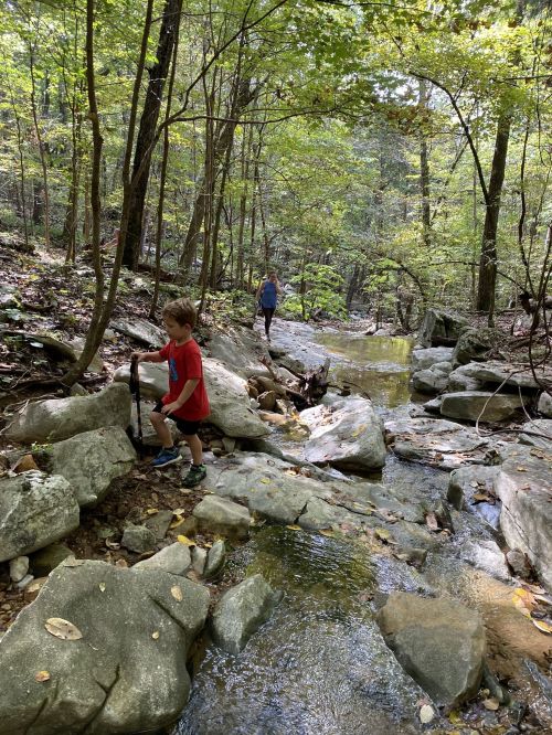 A child in a red shirt climbs over rocks by a stream, while an adult walks in the background among trees.