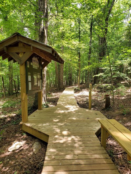 A wooden boardwalk leads through a lush green forest, with a signpost at the entrance.