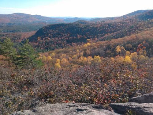 A scenic view of rolling hills covered in autumn foliage, with vibrant orange and yellow trees under a clear blue sky.