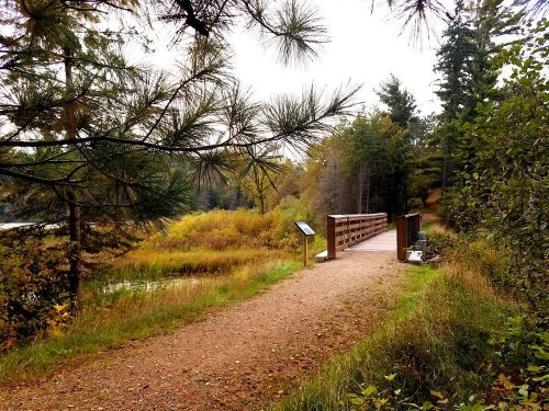 A serene pathway leads to a wooden bridge, surrounded by trees and autumn foliage near a calm waterway.