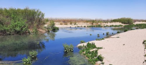 A serene river scene with clear water, sandy banks, and lush green vegetation under a bright blue sky.
